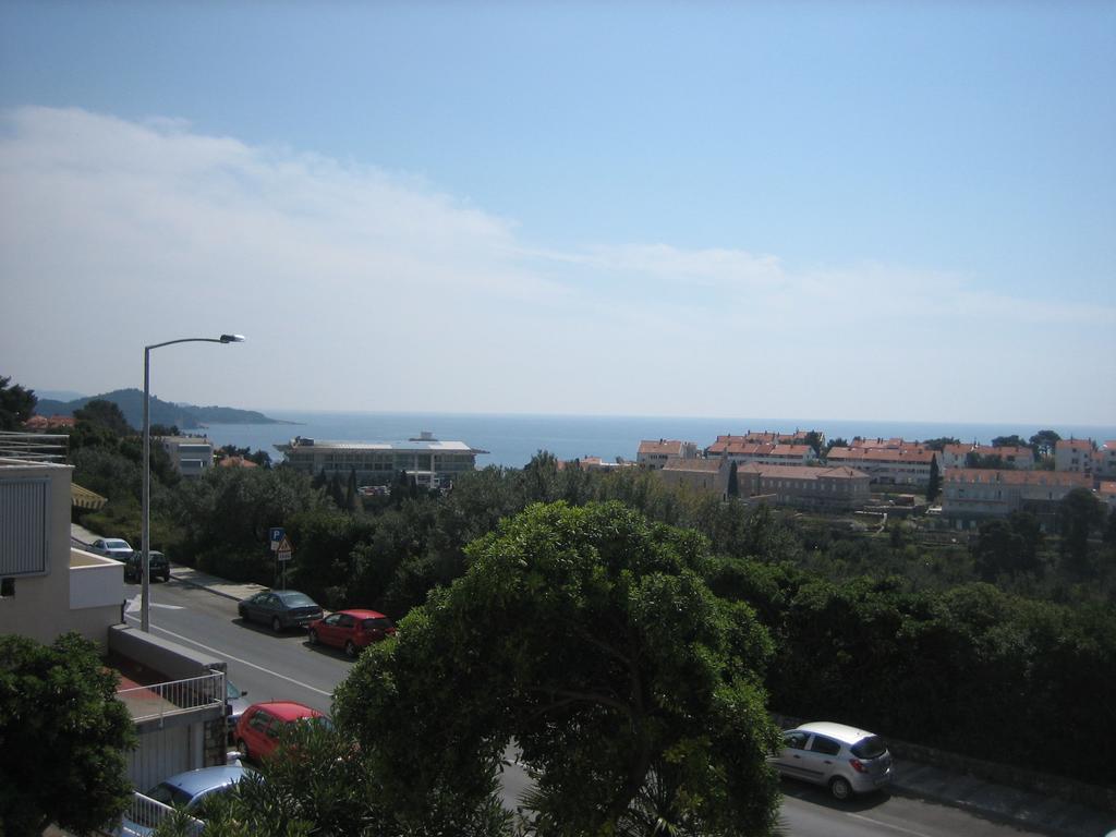 Apartman Topolo *